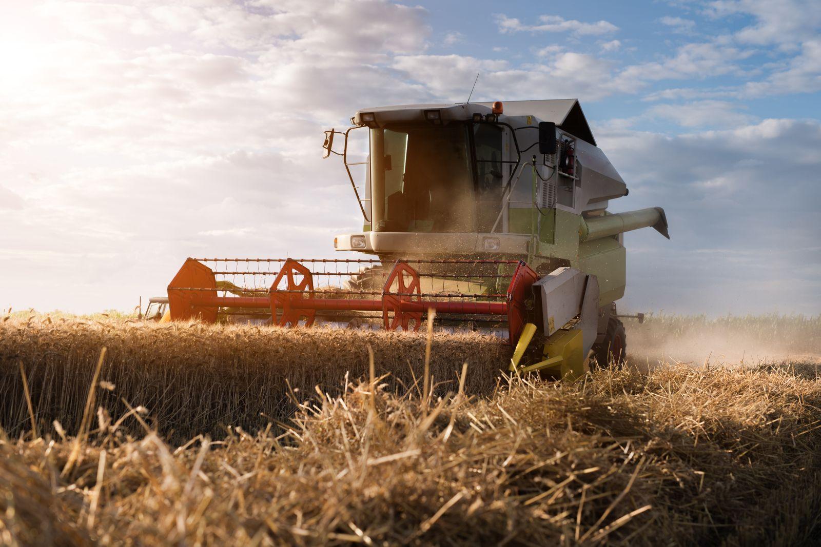 Wheat Posts Monday Losses | Nasdaq